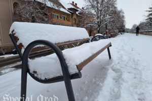 Aradul în alb (3)