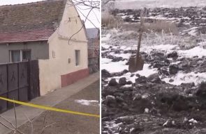Crimă terifiantă în Timiș. Adolescent de 15 ani, ucis cu brutalitate și îngropat pe un câmp de patru tineri