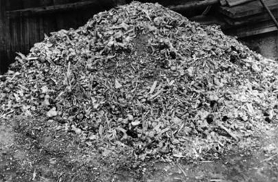 Holocaust - Grămezi de cenușă și oase descoperite de soldații americani în lagărul de concentrare Buchenwald din Germania