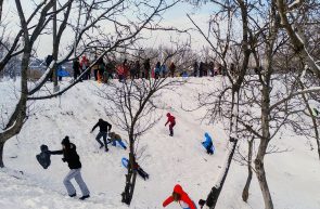 IMG 20260111 1527034202