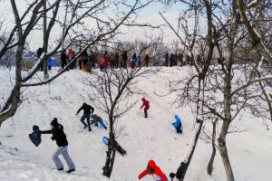 IMG 20260111 1527034202