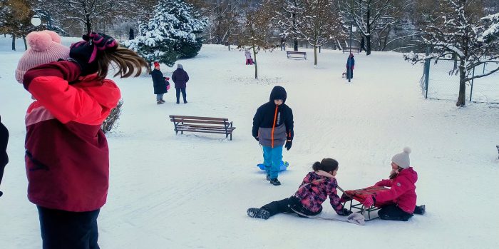 Poza pentru articolul Digul din zona Micălaca 300 – atracția acestor zile albe / GALERIE FOTO