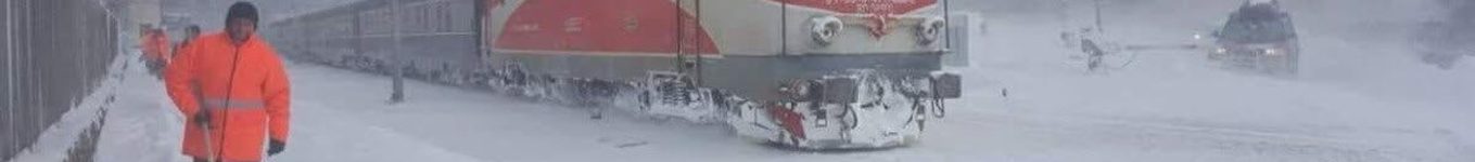 întârzieri trenuri CFR Arad