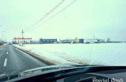 Micălăcenii solicită un trotuar sigur între blocurile ANL și zona Selgros (3)