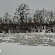 Strat gros de gheață pe Mureș, în Micălaca: semn al unei ierni neobișnuit de dure la Arad | Video