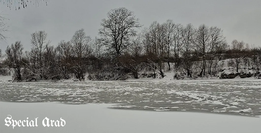 Poza pentru articolul Strat gros de gheață pe Mureș, în Micălaca: semn al unei ierni neobișnuit de dure la Arad