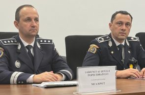 adjunct IPJ Arad