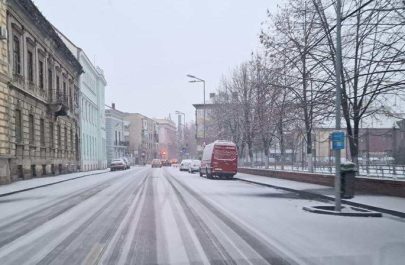cod galben Arad ninsoare