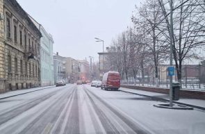 cod galben Arad ninsoare