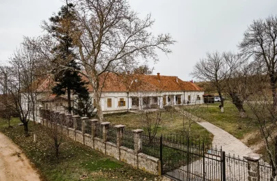 conacul daniel drauț 2