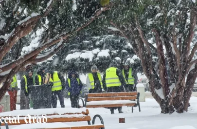 deszăpezire manuală Arad