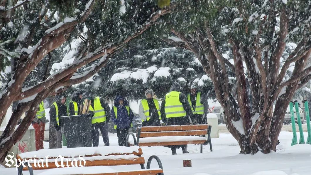 deszăpezire manuală Arad
