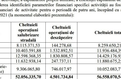esec zapada analiza financiara