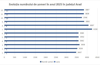 evolutie numar de someri in 2025 arad
