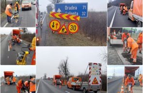 drumuri gropi arad