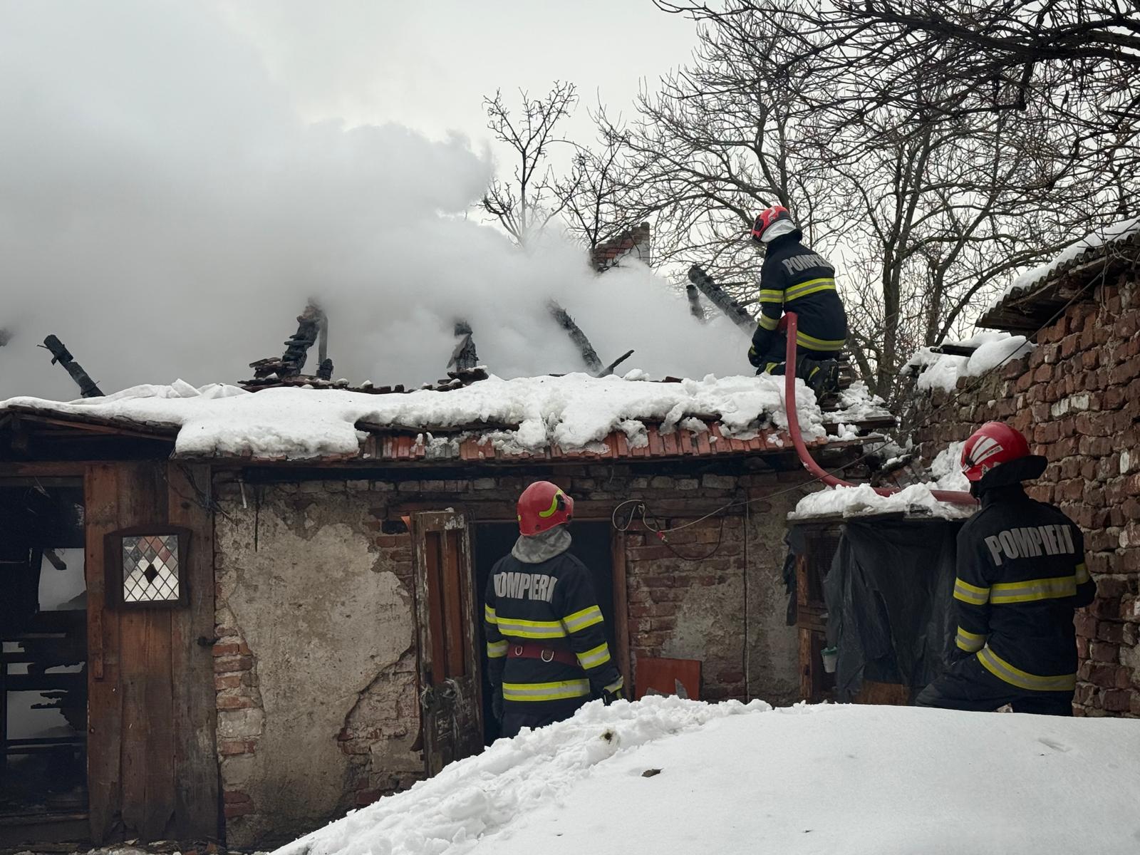 Incendiu pe strada Remus: pompieii salvează mai multe animale din anexă.