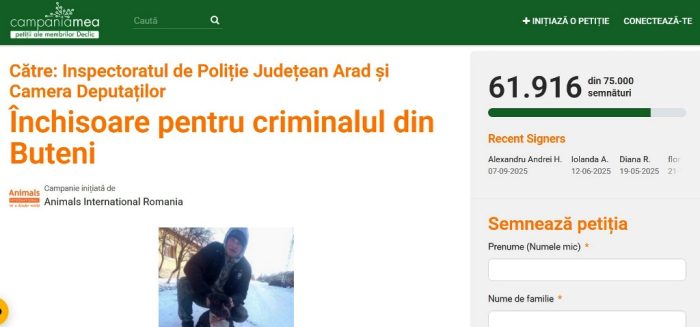 petitie buteni