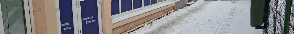 Prietenii primarului zăpadă
