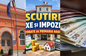 Nădlac taxe