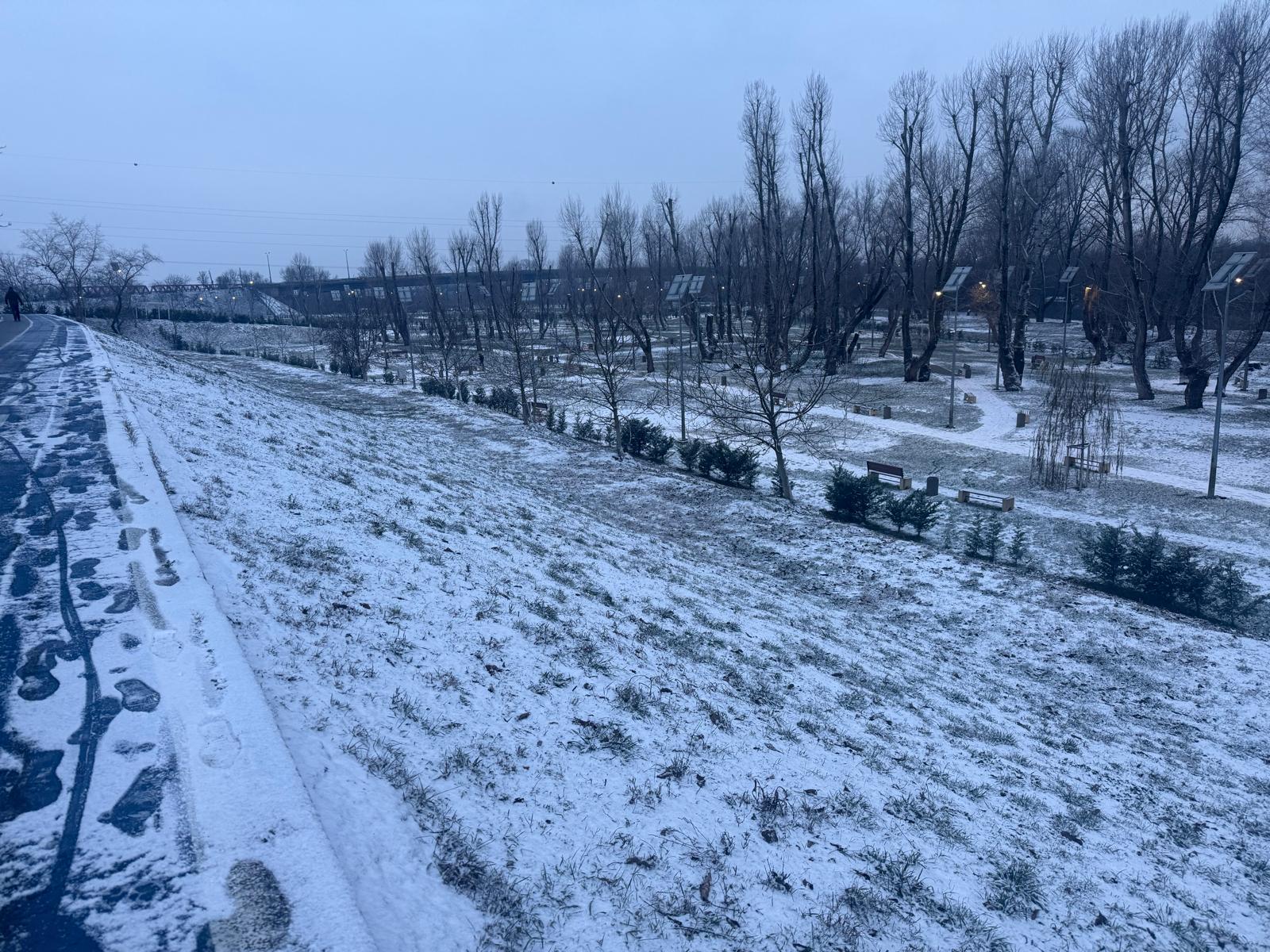 Poza pentru articolul Raportul Gărzii de Mediu Arad: Peste 1200 de inspecții pe parcursul anului trecut