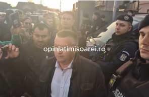revoltă Mario