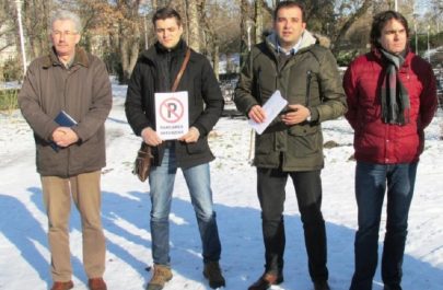 sergiu vlad și bulumac acțiunea cu salvați parcul eminescu