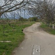Stradă neasfaltată, daune de 25.000 de lei. Primăria Arad, obligată definitiv de instanță să ia măsuri