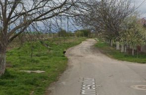 strada Someșului daune