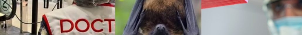Virusul Nipah