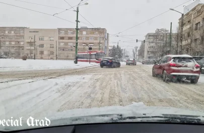 zăpadă Boul Roșu