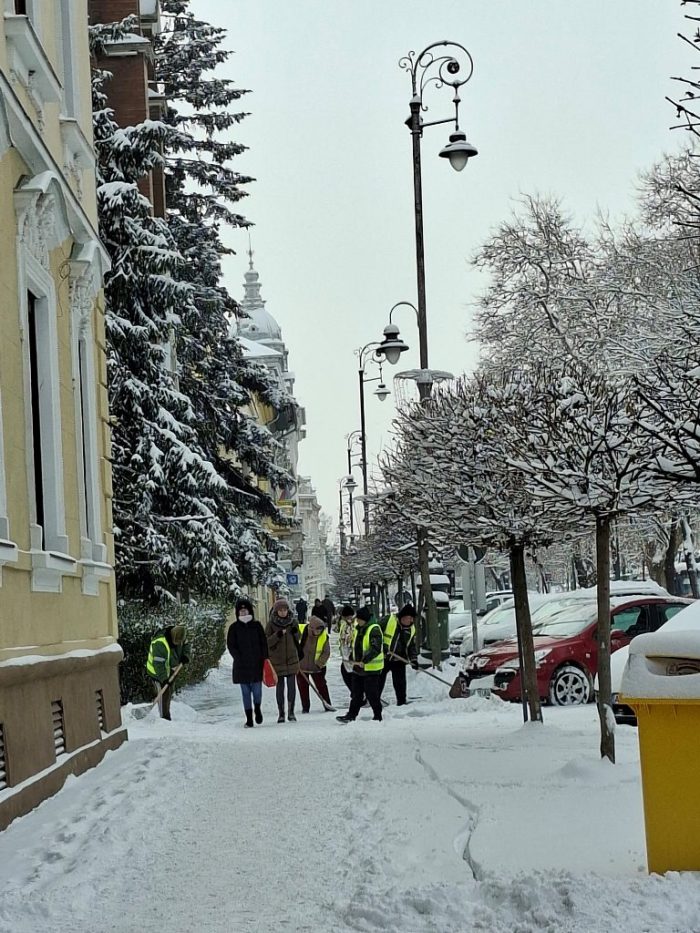 zapada bulevard