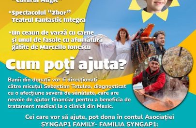 ceaun cu povesti Sebastian
