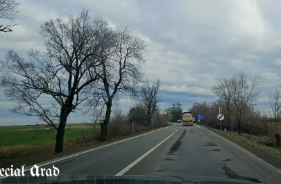 drumul Arad - Chișineu-Criș gropi reparații DRDP (2)