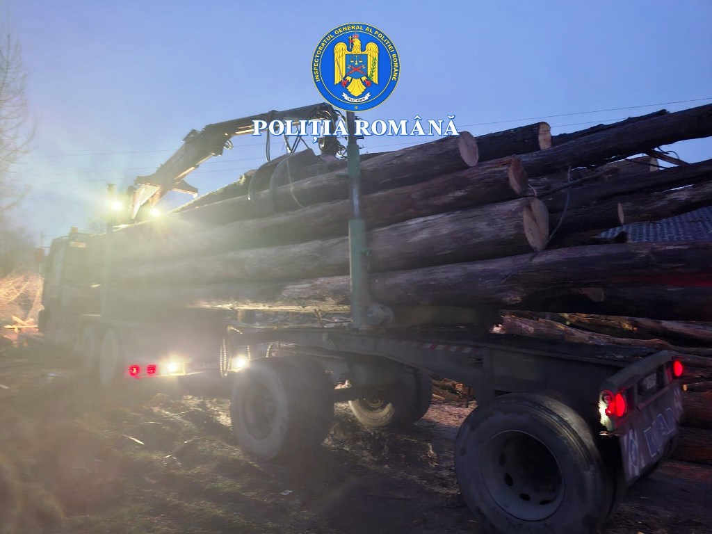 Lemn confiscat pe DN7, iar un camion a fost reținut; poliția arădeană a deschis dosar penal.