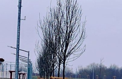 marului februarie