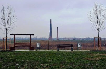 marului februarie 1