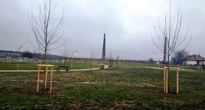 Poza pentru articolul Mărului, zona din Arad unde dispar copacii