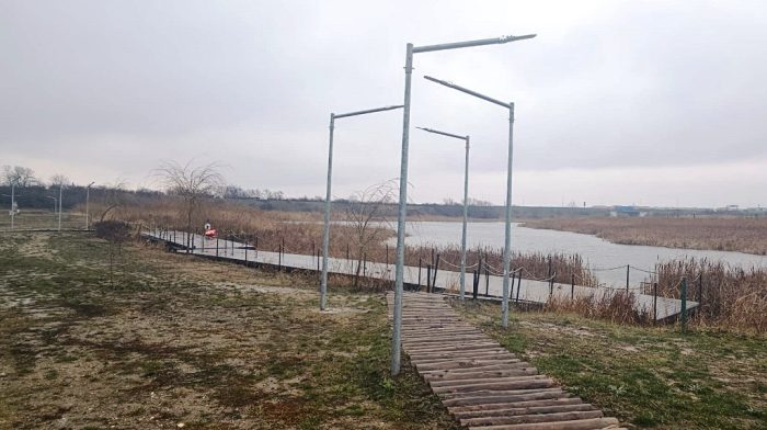 Poza pentru articolul Mărului, zona din Arad unde dispar copacii