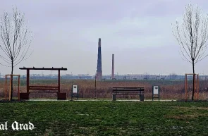 marului-februarie-special-arad