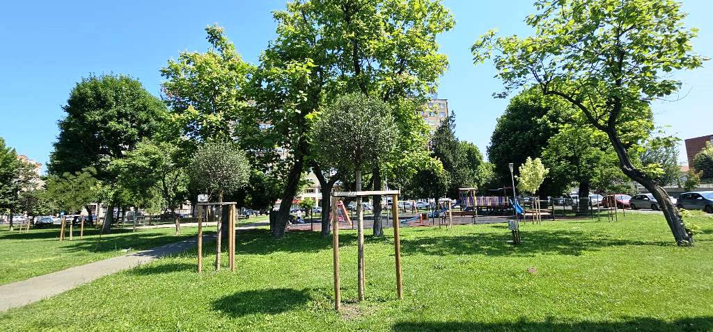 Poza pentru articolul Un singur spațiu verde adoptat în 2025 în urma campaniei lansate de Primăria Arad