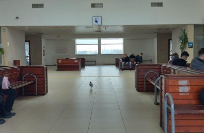 pola porumbei gară