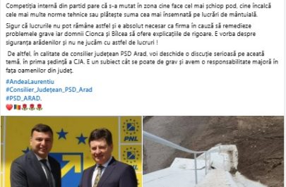 postare andea pod șicula
