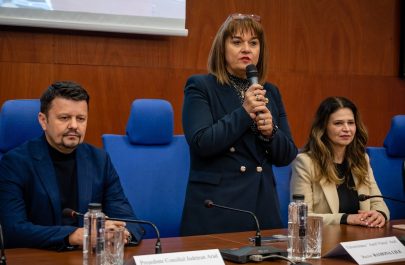 ramona lile uav și ionel bulbuc