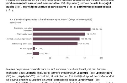 raport strategie culturală arad 2026