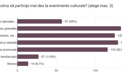 raport strategie culturală arad 2026 part3
