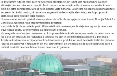 reactie cj despre pod șicula