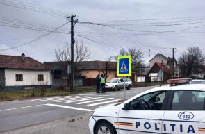 mașini Sebiș poliție
