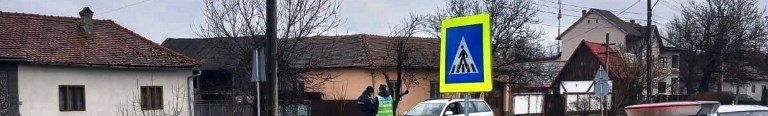 mașini Sebiș poliție