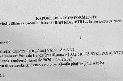 uav audit raport