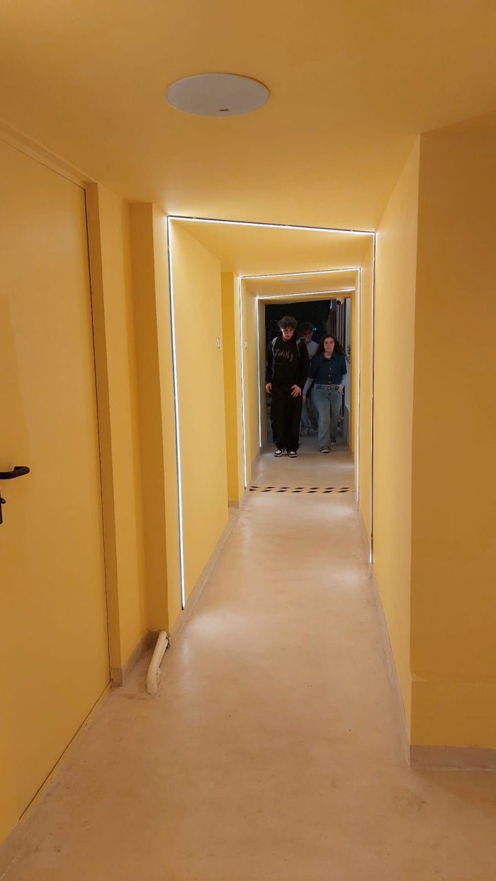 Poza pentru articolul S-a deschis Roosters în centrul Aradului! Locul în care pofta întâlnește savoarea